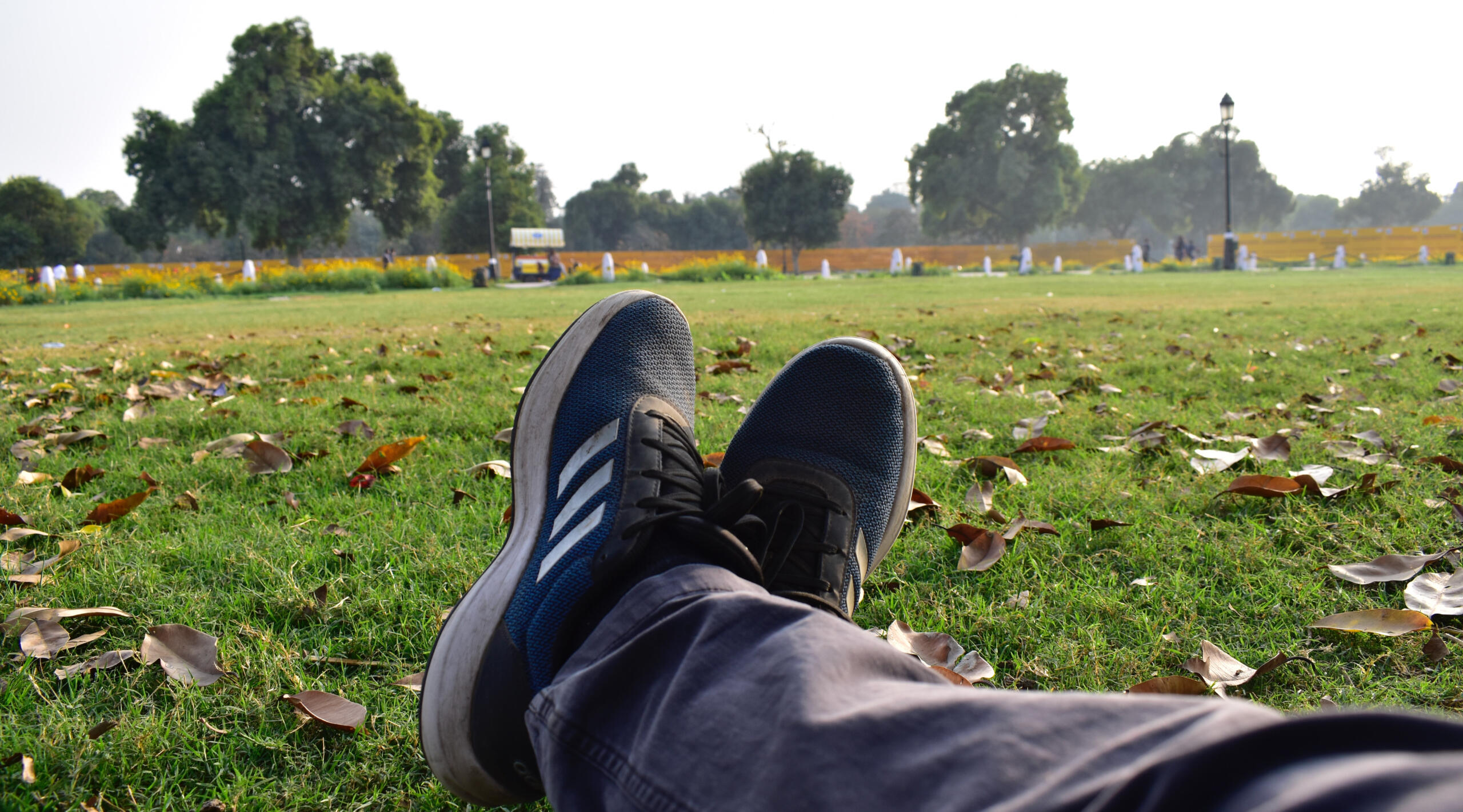 Asiantuntijayrittäjä loikoilee nurmella